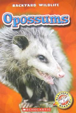 Opossums Opossums