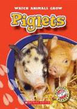 Piglets