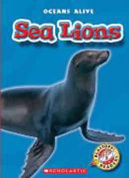Sea Lions