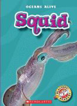 Squid