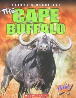 The Cape Buffalo