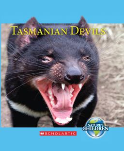 Tasmanian Devils