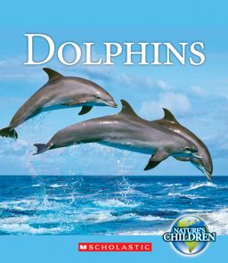 Dolphins Dolphins