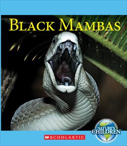 Black Mambas (Nature's Children) (Library Edition)