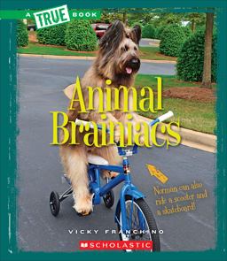Animal Brainiacs (a True Book: Amazing Animals) (Library Edition)