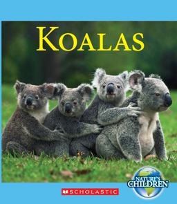 Koalas Koalas