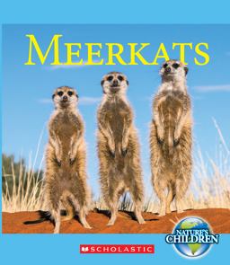 Meerkats Meerkats
