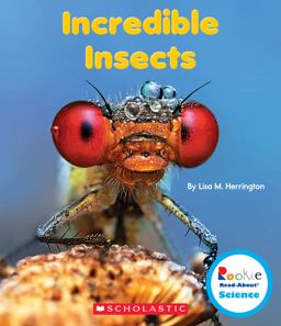 Incredible Insects (Rookie Read-About Science: Strange Animals)