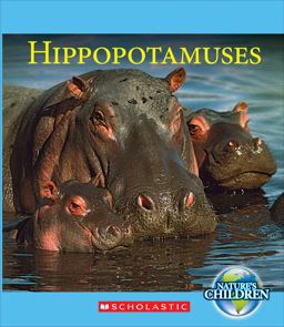 Hippopotamuses Hippopotamuses