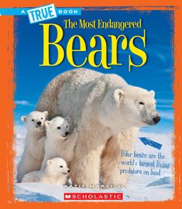 Bears (a True Book: the Most Endangered)  9780531232767 Front Cover