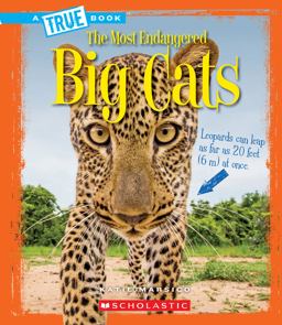 Big Cats  9780531232774 Front Cover