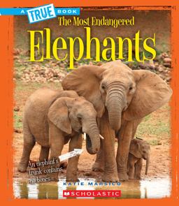 Elephants  9780531232781 Front Cover
