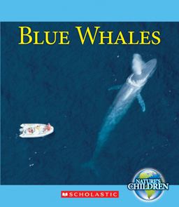 Blue Whales