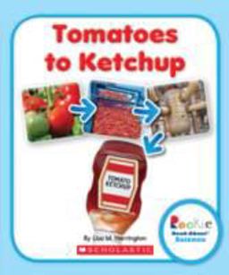 Tomatoes to Ketchup