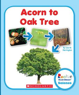 Acorn to Oak Tree:  9780531249758 Front Cover
