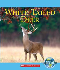 Nature's Children: White-Tailed Deer