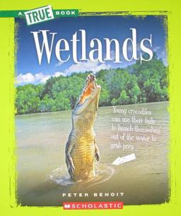 True Book: Wetlands  9780531281000 Front Cover