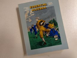 Essential Algebra