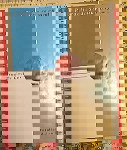 Practical Study of Argument 3rd 1991 9780534147129 Front Cover