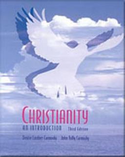 Christianity An Introduction 3rd 9780534213602 Front Cover