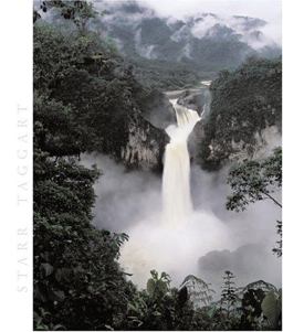 Biology The Unity and Diversity of Life 10th 9780534388003 Front Cover