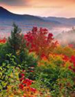 Essentials of Ecology