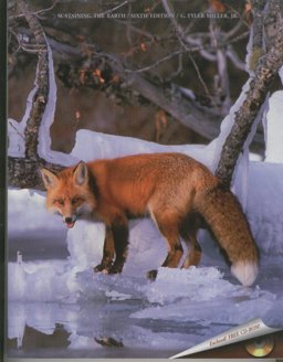 Sustaining the Earth