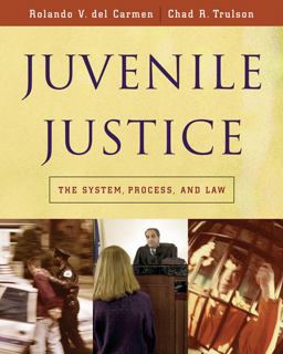 Juvenile Justice The System, Process and Law  9780534521585 Front Cover