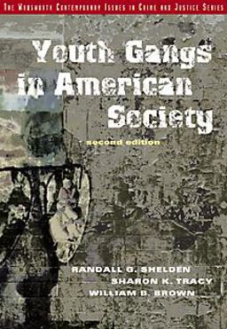 Youth Gangs in American Society 2nd 2000 9780534527457 Front Cover