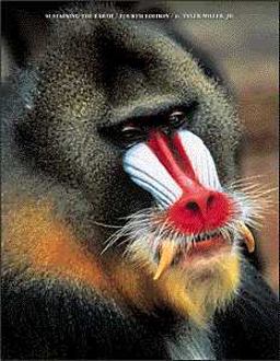 Sustaining the Earth