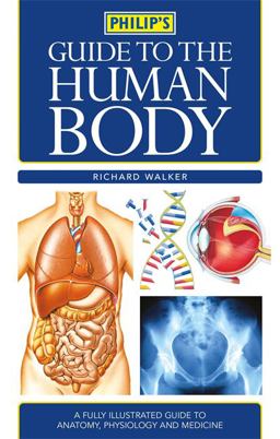 Human Body