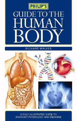 Human Body
