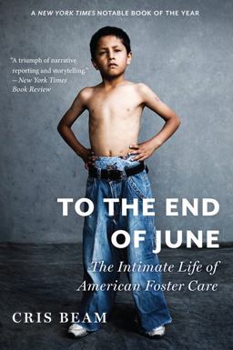 To the End of June The Intimate Life of American Foster Care  9780544103443 Front Cover