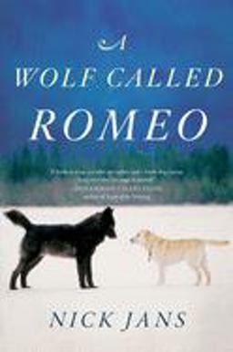 Wolf Called Romeo  9780544228092 Front Cover