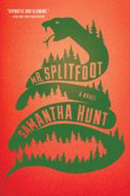 Mr. Splitfoot  9780544811812 Front Cover