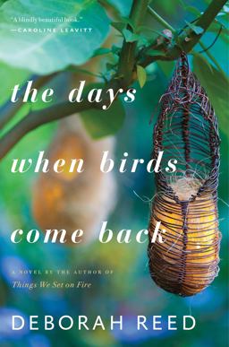 Days When Birds Come Back  9780544817357 Front Cover
