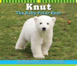 Knut Knut