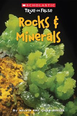 Rocks and Minerals  9780545202053 Front Cover