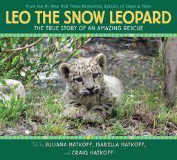Leo the Snow Leopard Leo the Snow Leopard
