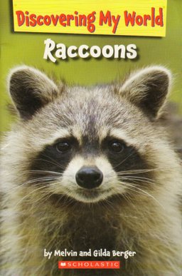 Raccoons