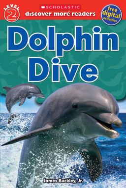 Dolphin Dive