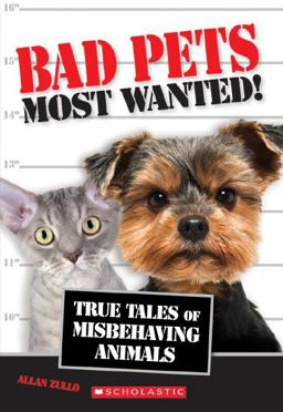 Bad Pets Most Wanted! 1st 9780545675345 Front Cover