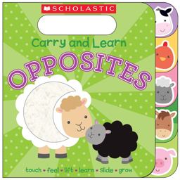 Carry and Learn Opposites