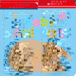 Touch and Feel Baby Animals: Scholastic Early Learners (Touch and Feel)