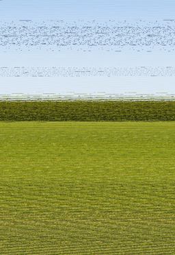 American Foreign Policy