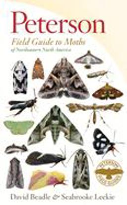 Peterson Field Guide to Moths of Northeastern North America  9780547238487 Front Cover