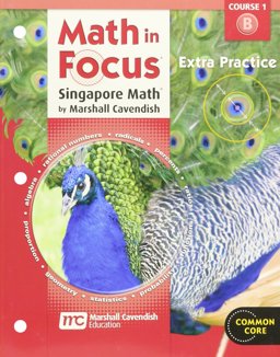 Math in Focus: Singapore Math Extra Practice Book Grade 6: 1st 9780547578996 Front Cover
