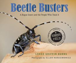 Beetle Busters A Rogue Insect and the People Who Track It  9780547792675 Front Cover