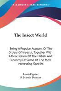 The Insect World