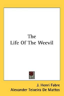 The Life of the Weevil